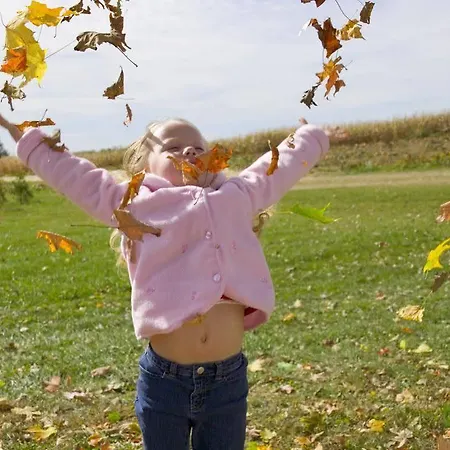 Rural El Pilaret 3* Azanúy