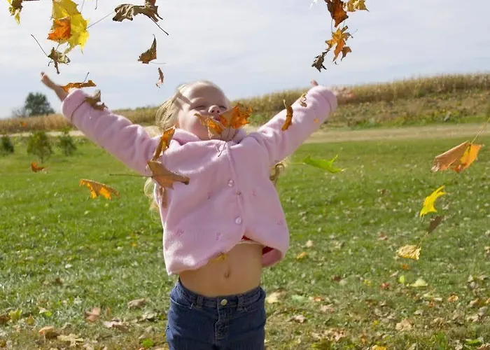 Rural El Pilaret 3* Azanúy